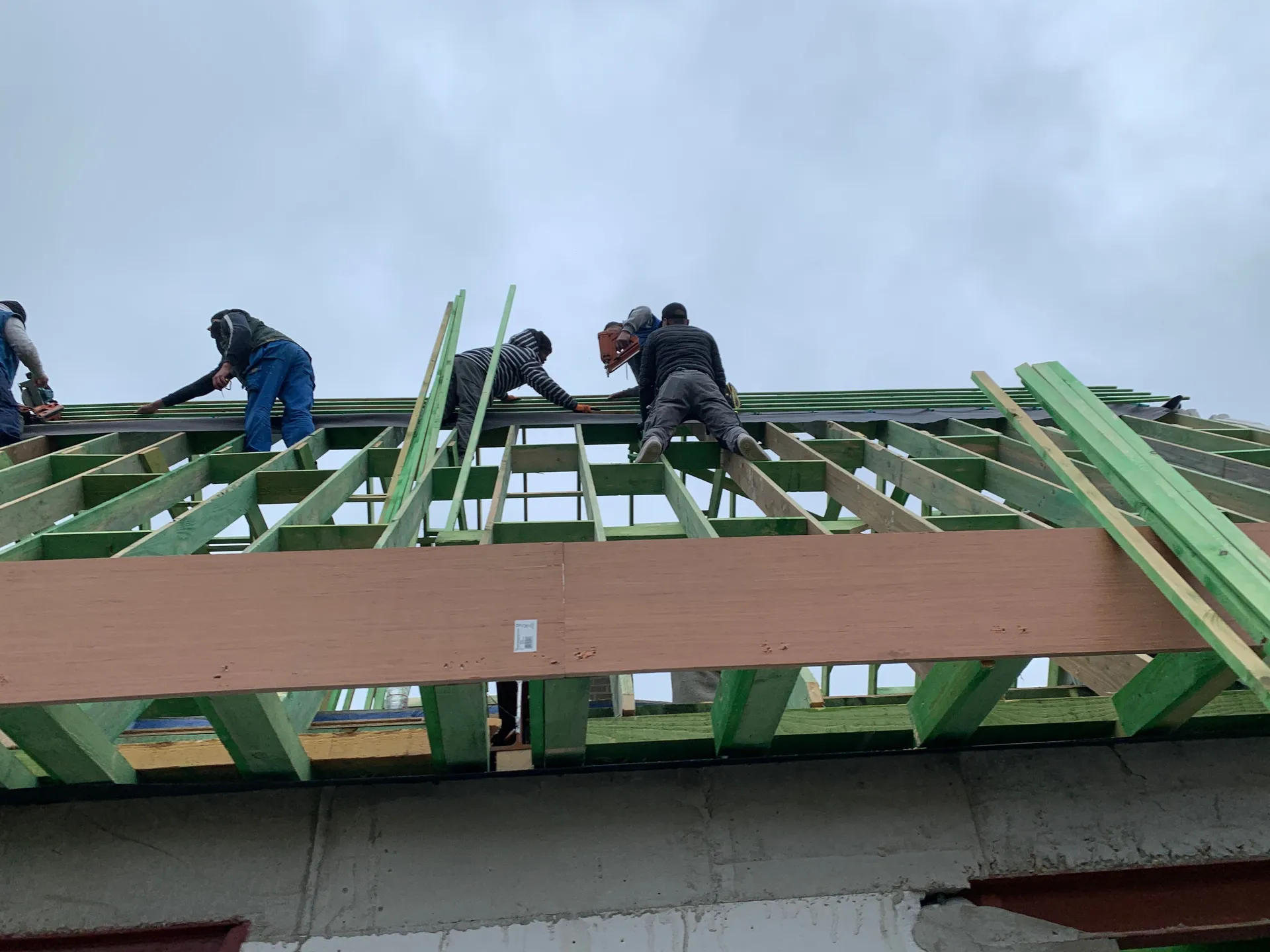 Charpente en construction vue de dessous : fermes et pannes en bois traité vert, ouvriers posant les poutres sur un mur porteur en béton